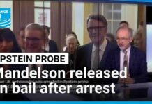 Former UK ambassador Mandelson released on bail after