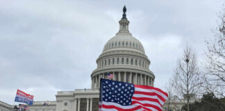 Crowd of protesters with American flags in front of the Capitol building