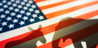 Shadows of a donkey and elephant on an American flag