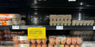 Egg cartons on a supermarket shelf with a sign indicating limited supply