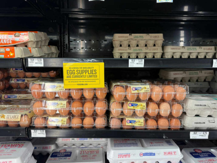 shutterstock_2571256833.jpg Egg cartons on a supermarket shelf with a sign indicating limited supply