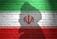 Silhouette of a figure against the Iranian flag painted on a brick wall