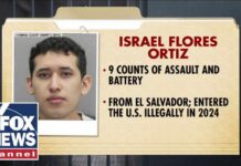 Illegal immigrant CHARGED after allegedly groping