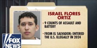 Illegal immigrant CHARGED after allegedly groping