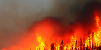 Intense wildfire engulfing a forest with flames and smoke