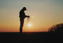 Silhouette of a farmer holding soil against a sunset backdrop