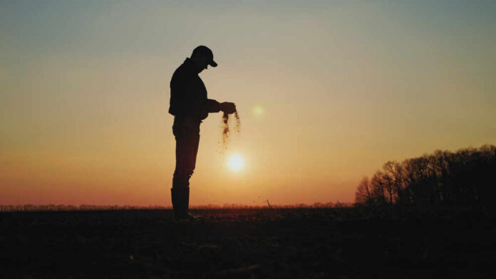 Silhouette of a farmer holding soil against a sunset backdrop