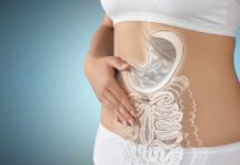 Illustration of a woman's digestive system with a focus on the stomach