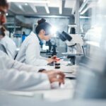 Whale-Headed Termite Stuns Scientists Scientists working in a laboratory with microscopes and test tubes