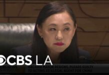 Arcadia mayor resigns, pleads guilty to acting as illegal agent