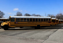 Yellow school buses parked in a lot under a blue sky