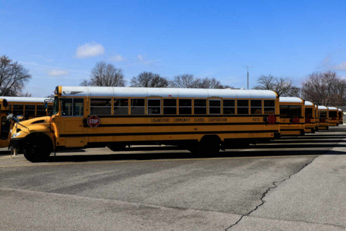 shutterstock2132814131jpg Yellow school buses parked in a lot under a blue sky
