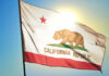 Gubernatorial Frontrunner Caught in Staff Abuse Scandal California state flag waving in the sunlight