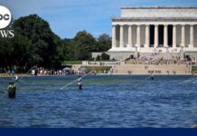 Trump Blasts Vandals—Renovation Blunder Instead? President Trump claims vandals are responsible for Reflecting Pool problems