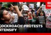 India's Modi government under growing pressure as 'cockroach' protests intensify | BBC News