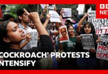 India's Modi government under growing pressure as 'cockroach' protests intensify | BBC News
