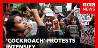 India's Modi government under growing pressure as 'cockroach' protests intensify | BBC News