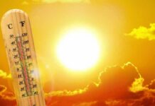 Heatwave Death Toll Stuns France thermometer in front of a blazing sun and orange sky