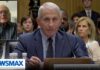 Alan Dershowitz: Give Fauci immunity so he talks | Sunday Agenda