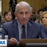 Alan Dershowitz: Give Fauci immunity so he talks | Sunday Agenda