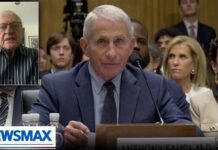 Alan Dershowitz: Give Fauci immunity so he talks | Sunday Agenda