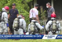 77-year-old postal worker arrested for hoarding cats she collected along her route