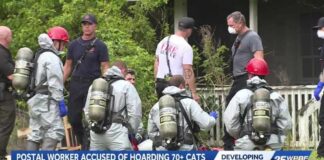 77-year-old postal worker arrested for hoarding cats she collected along her route