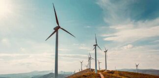 Wind turbines on a sunny hillside