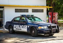 municipal police car parked by a building