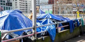 Tents covered with blue tarps along a city sidewalk