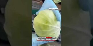 Breaking | DEA drug seizure | 2000 pounds meth | South Texas drug seizure | FBI DEA operation #usa