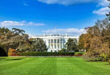 The White House with lawn and gardens under a blue sky