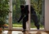 A burglar in dark clothing entering a house through a glass door
