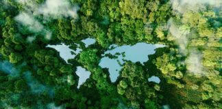 Aerial view of a forest surrounding a lake shaped like a butterfly