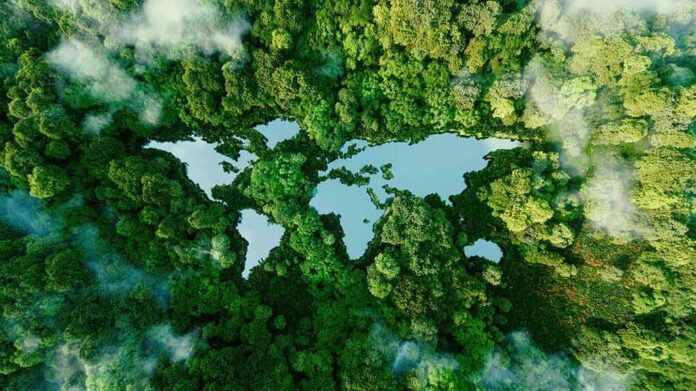 Aerial view of a forest surrounding a lake shaped like a butterfly