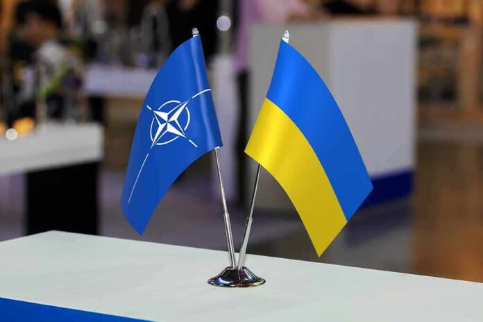 NATO and Ukraine table flags on a small metal stand